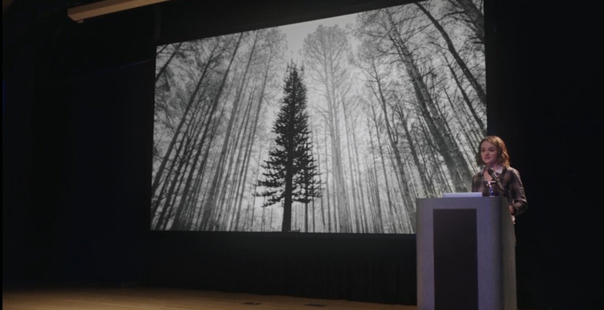 Фотография Тесс, аллегория на мачту мобильной связи. 