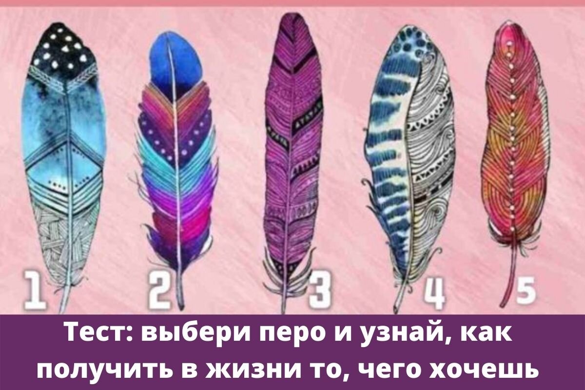 Как получить перо. Выбери перо и узнай. дидактическая игра подбери перышко. где выбрать перо пластичности в. ids paint. тест от оксаны авдеевой какая вы личность выберете одно перо.