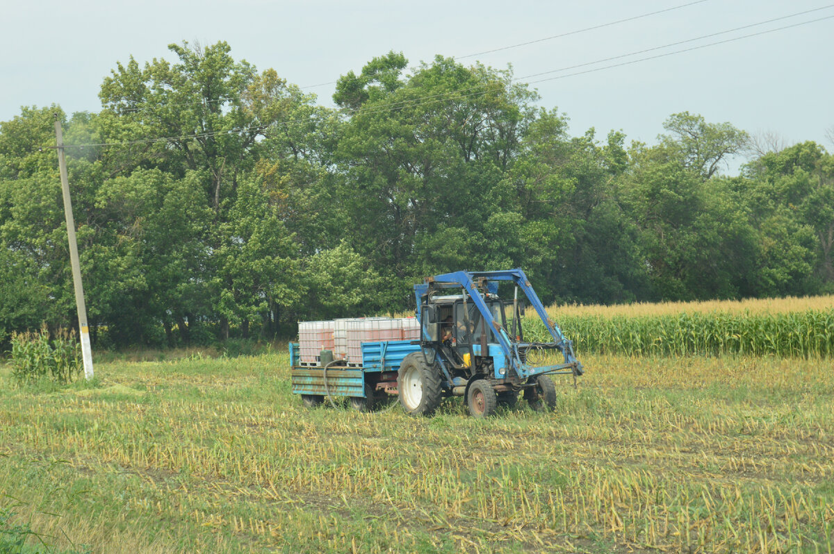 Фото автора. Трактор МТЗ с раствором на поле.