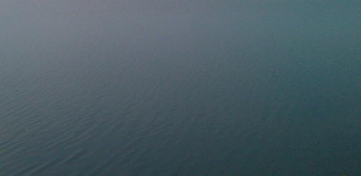    За разгадку мора рыбы в теперь уже мертвом Одере Польша готова заплатить 220 000 долларов США