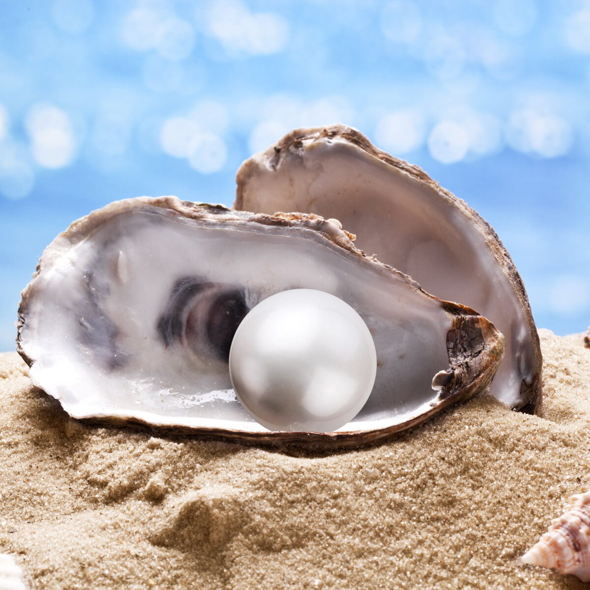 Яндекс -картинки