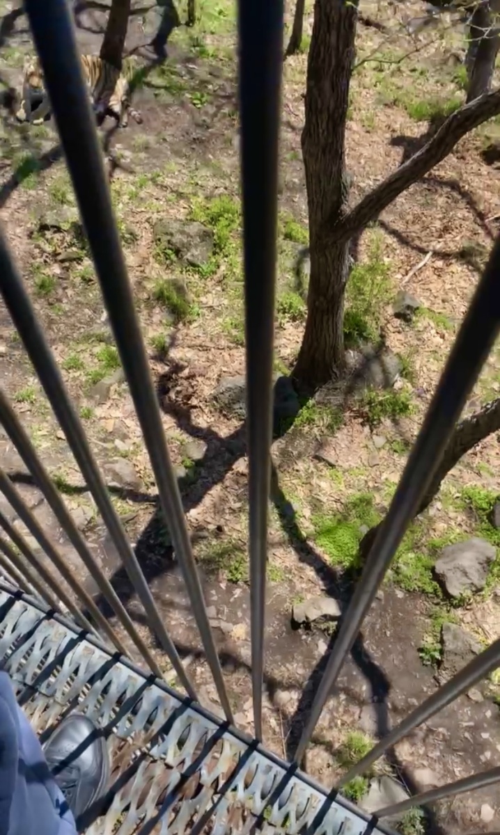 Вот так выглядит мост. Фото автора.