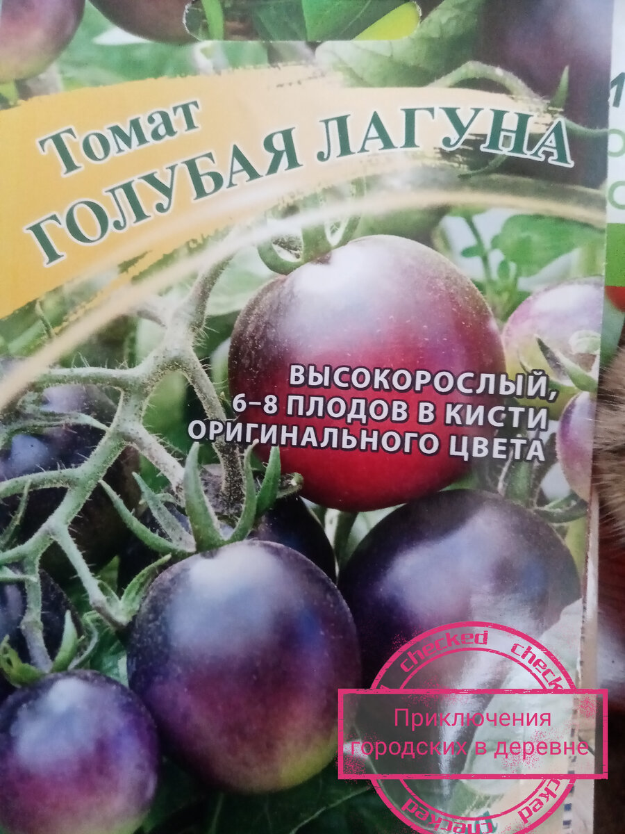 Этот сорт однажды выращивала моя бабушка