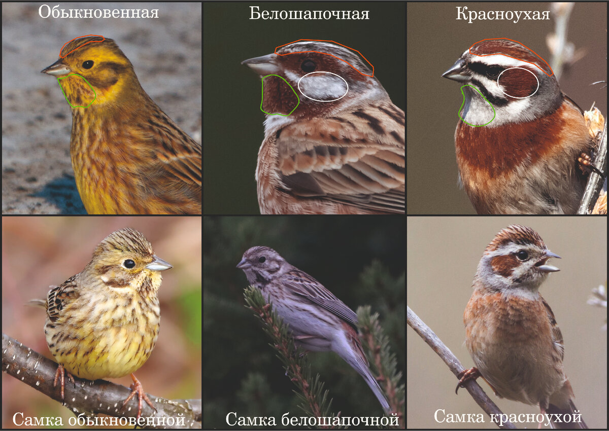 Фото: Жбир Денис, Попов Евгений, Гавриков Алексей и Эбель Алексей