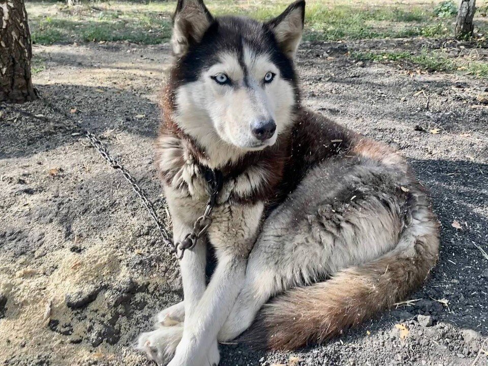   Марина ДОЛГОВА