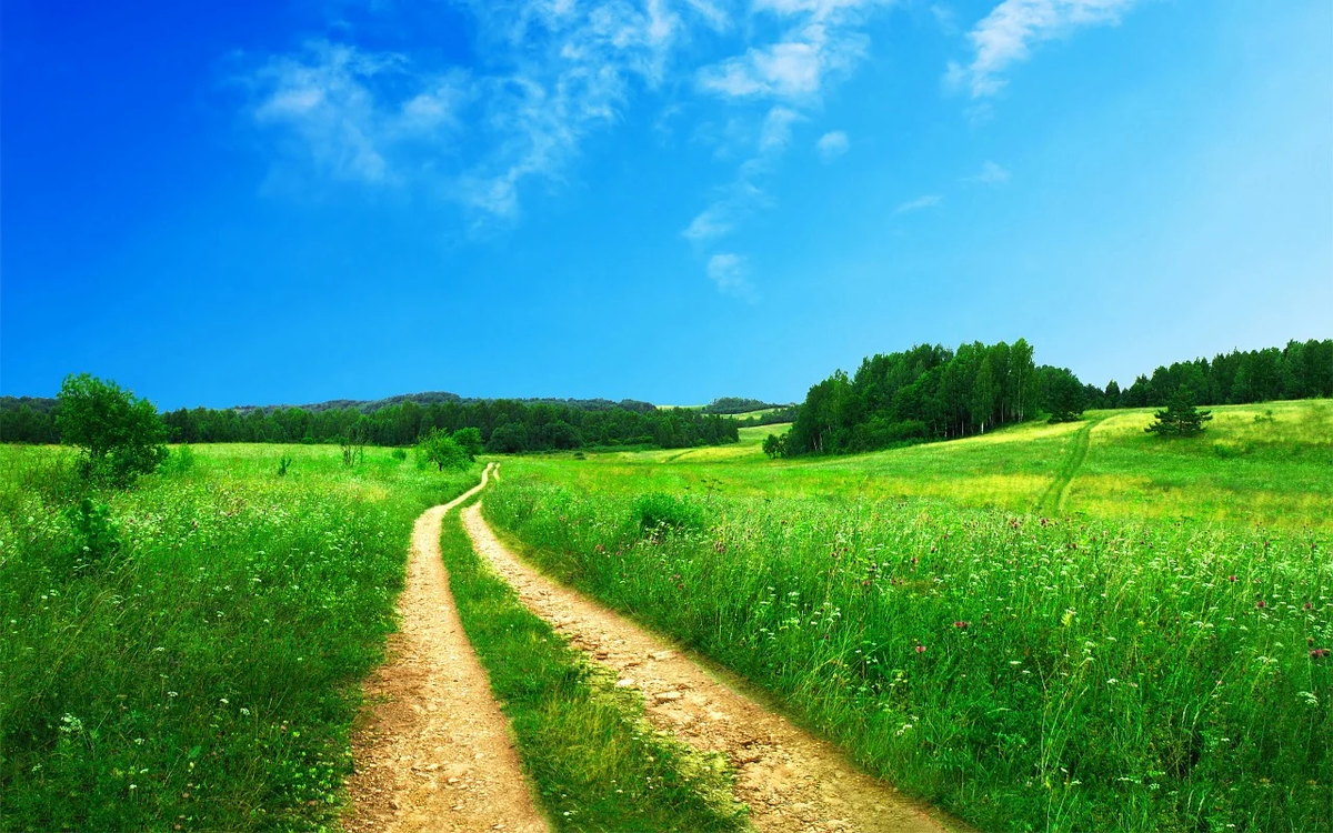 https://pixabay.com/ru/