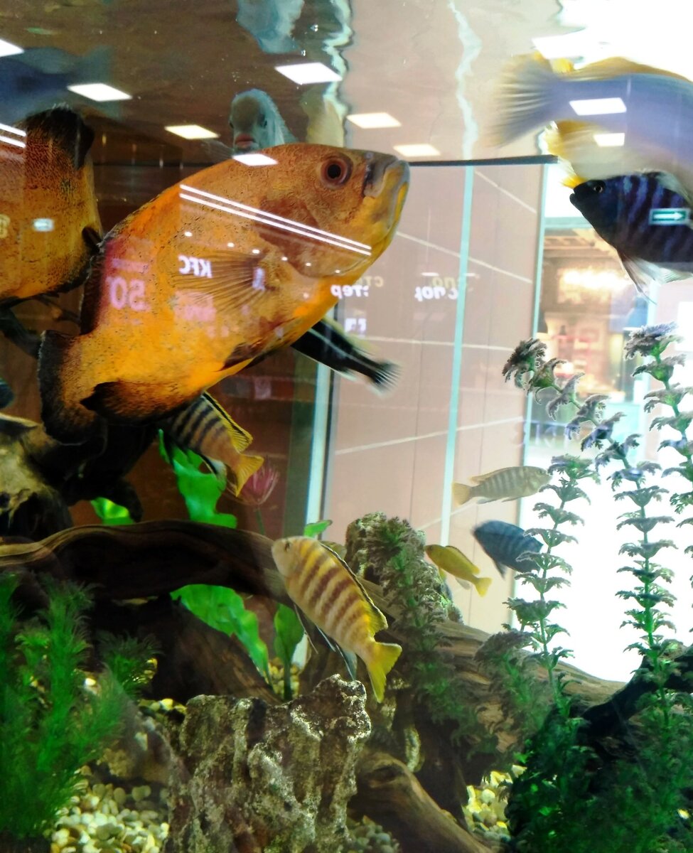 Фото автора статьи