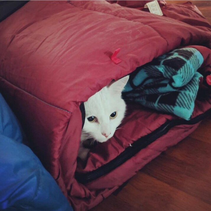 Инстаграм Smudge_lord 