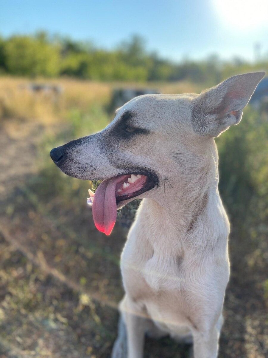 Теплый летний день!