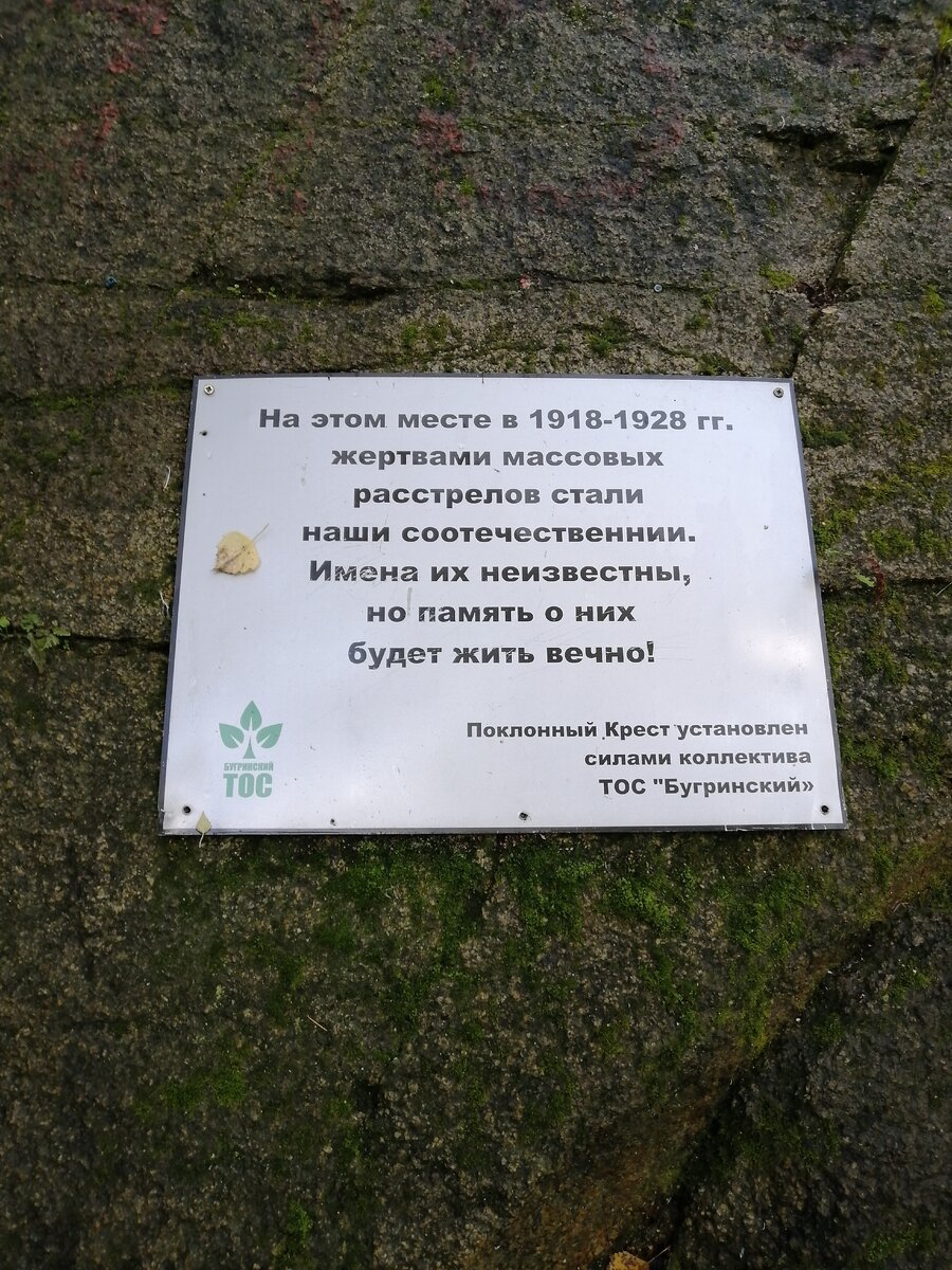 То ли правда, то ли быль