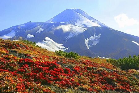 Камчатка стала очень модной, запросы на нее растут