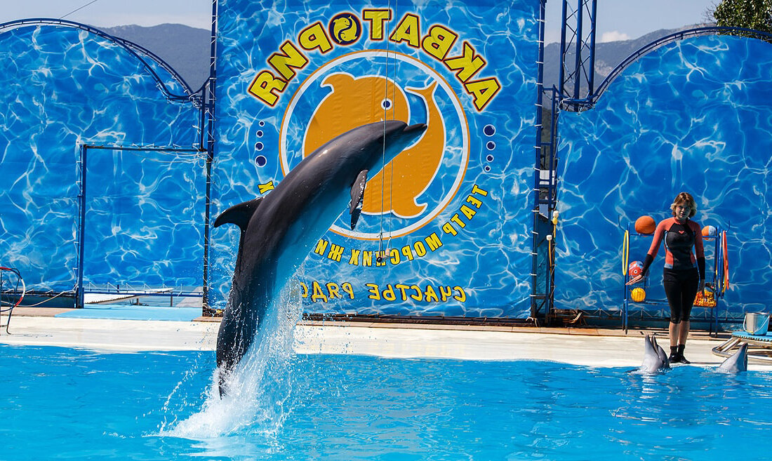 Театр морских животных «Акватория»