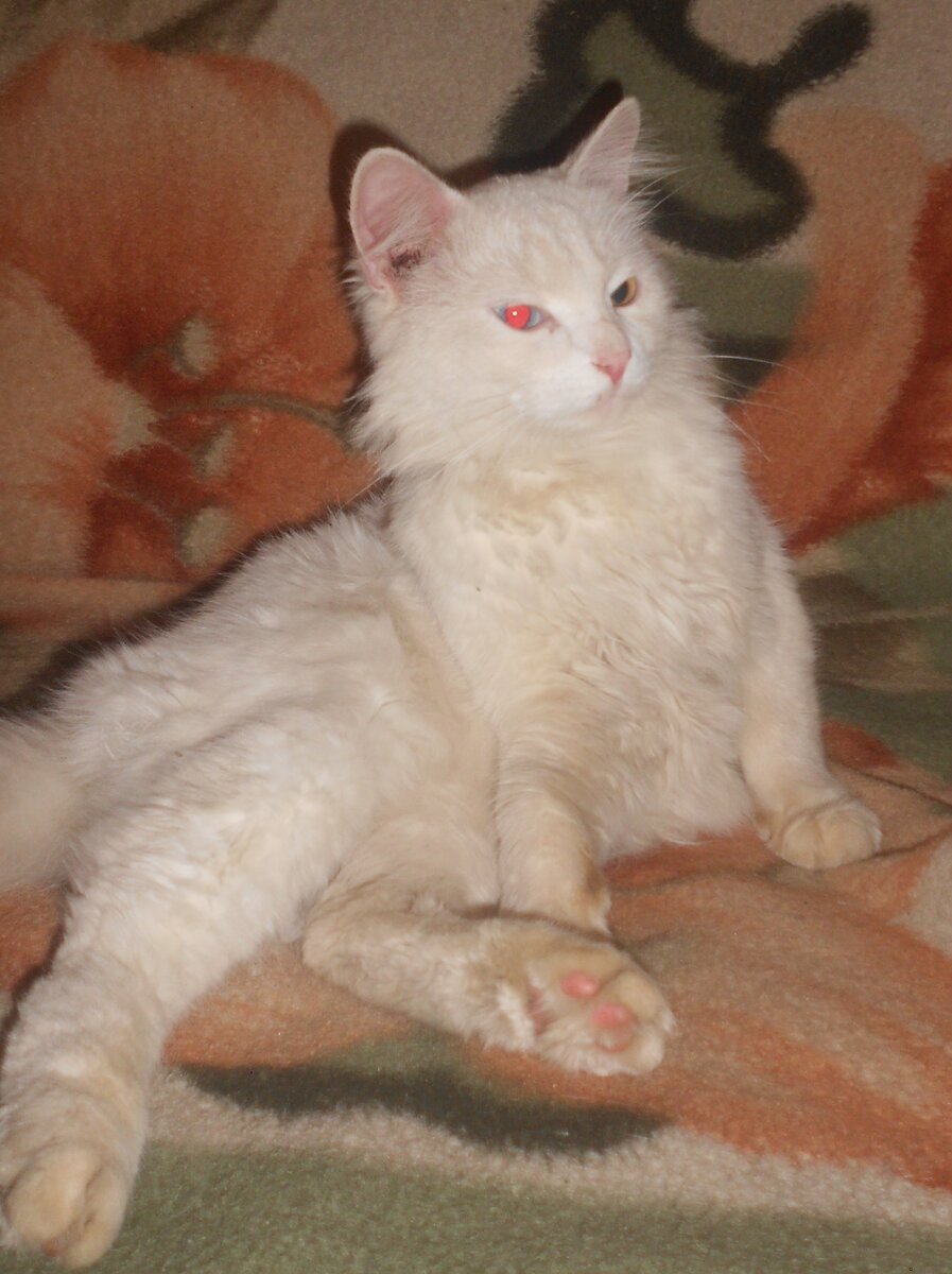 Фото из личного архива. Кеша