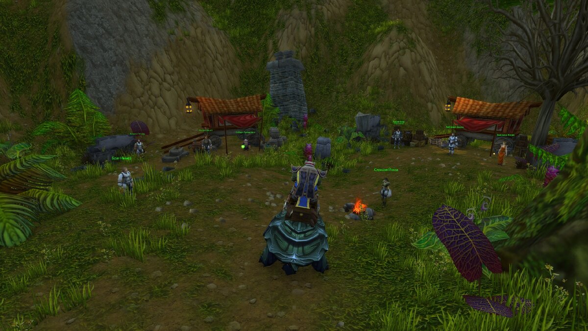 Снова в лагере повстанцев