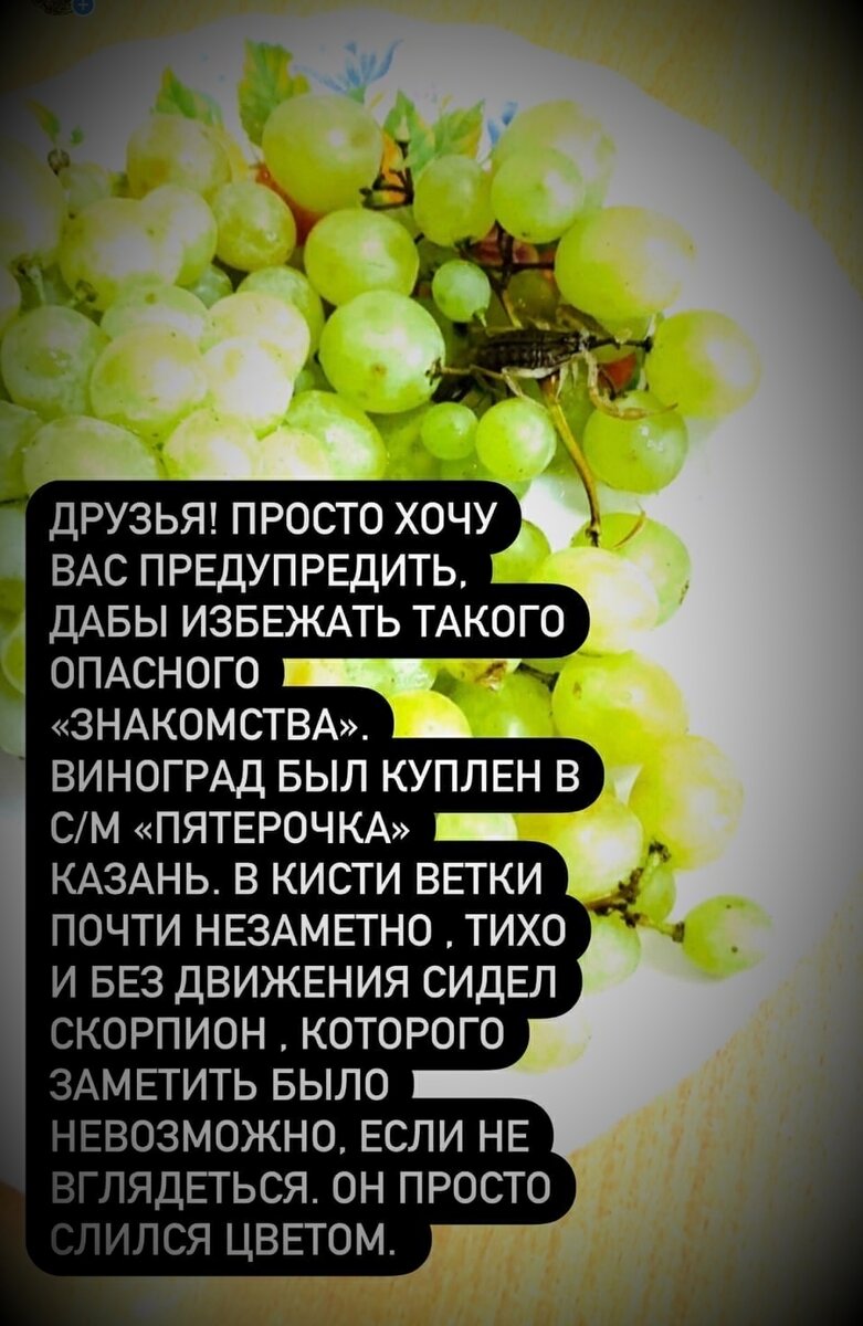 Нашли скорпиона?
