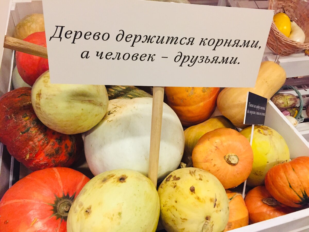 Фото сделано автором и принадлежит автору 