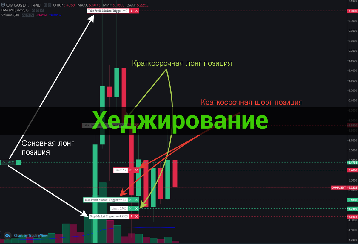 Режим хеджирования — рынок гарантированно пойдёт в твою сторону |  Криптовалюта, трейдинг, инвестиции | Дзен