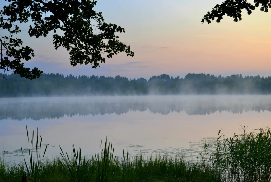 Озеро светлояр фото под водой