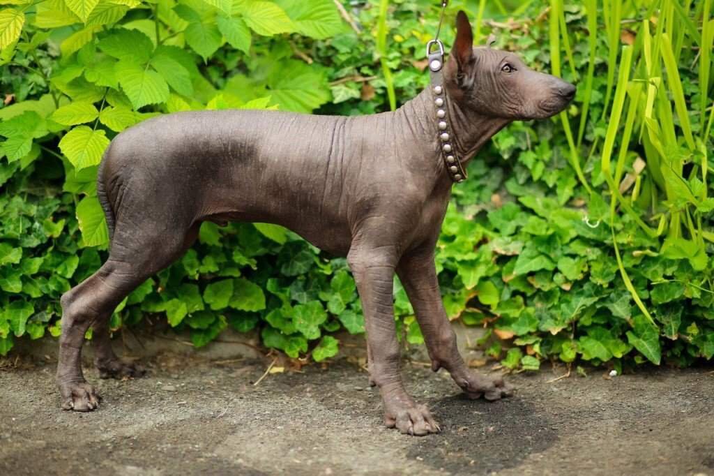 Фото из общедоступных источников