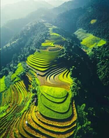 Яндекс.картинки