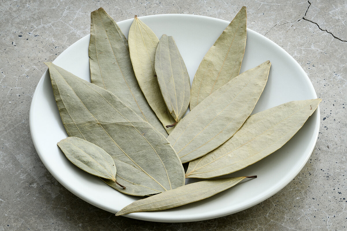 В регионах Закавказья лавровый лист растёт повсеместно