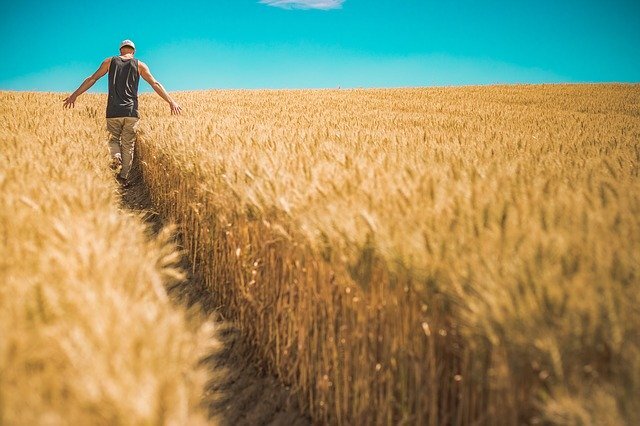 Источник фото: pixabay.com