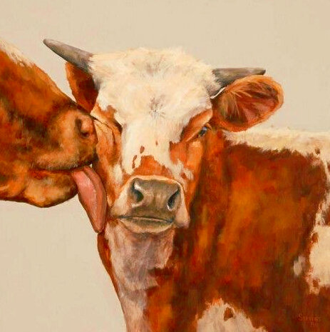 изображение взято с сайта Pinterest.com