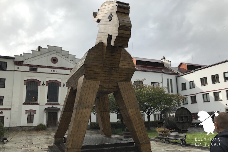 Фото: "Всем пока, ёж уехал"