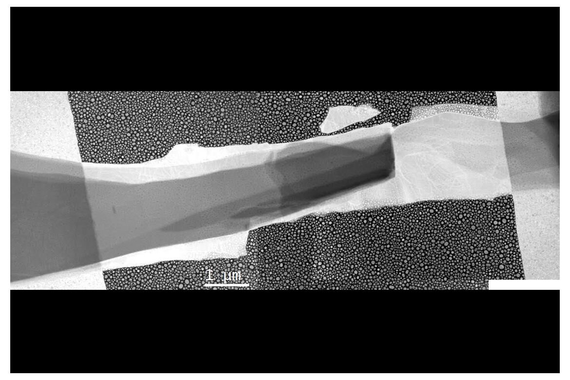 Это изображение, полученное с помощью электронного микроскопа, показывает два полупроводниковых охладителя: одну чешуйку из теллурида висмута и одну из теллурида сурьмы-висмута. Они перекрываются в тёмной области посередине, где и происходит охлаждение. Маленькие «точки» - это наночастицы индия, которые команда использовала в качестве микроскопических термометров. Фото UCLA/Regan Group.