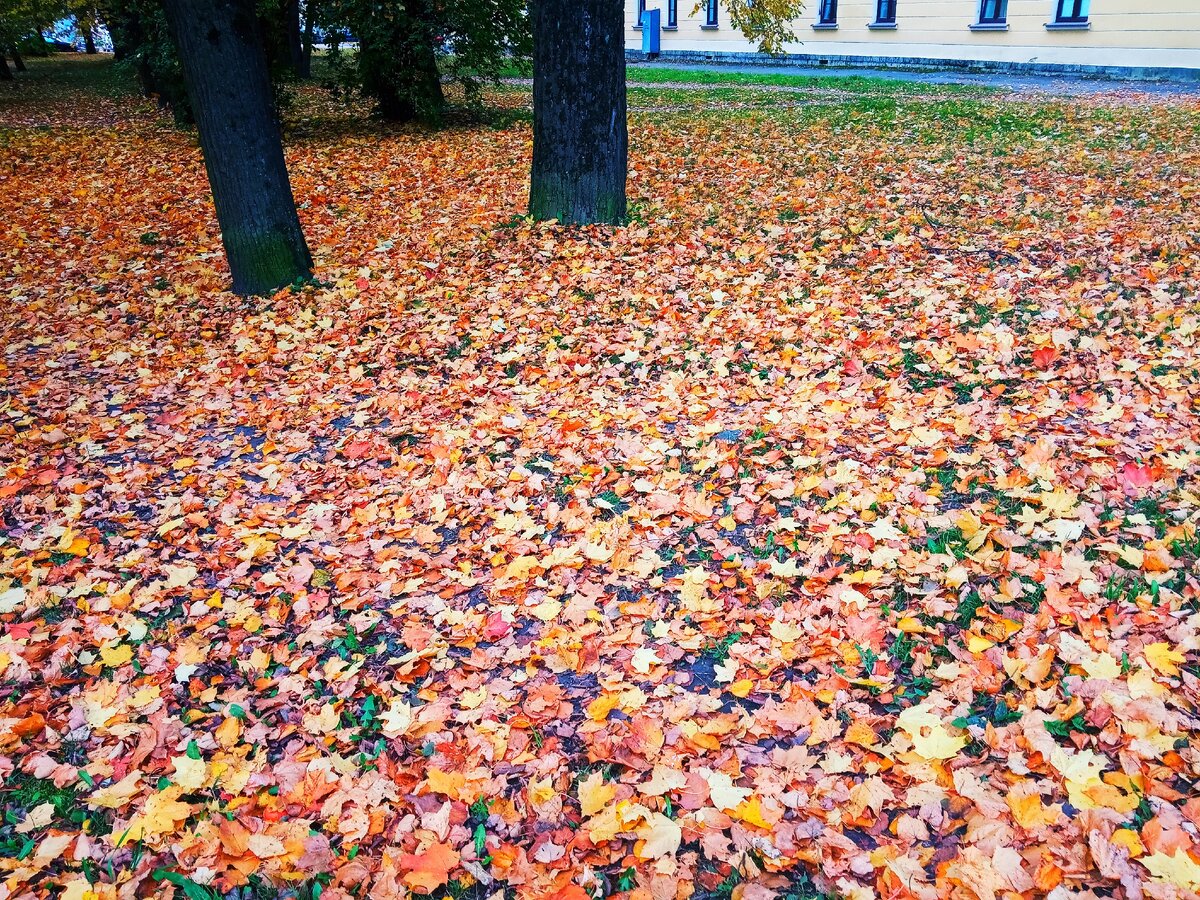 Сквер в городе Н.