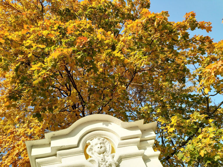 Осенний Петергоф. 27.09.2020