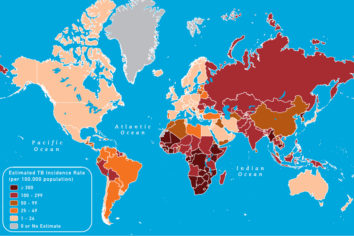 Источник: Яндекс Картинки