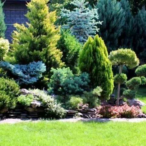 /Яндекс картинки/