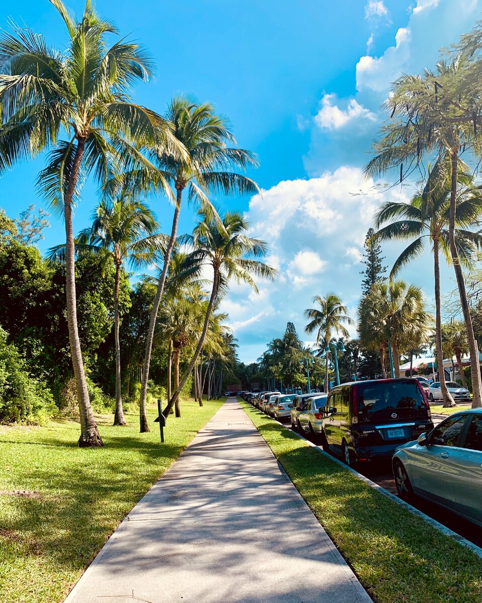 Багамы. Фото из личного архива