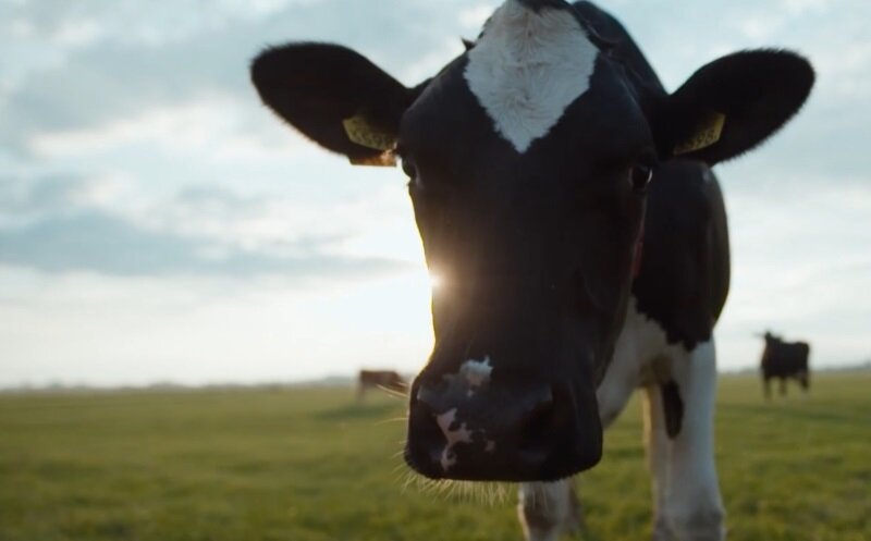 Фото - The DairyNews по мотивам пресс-конференции