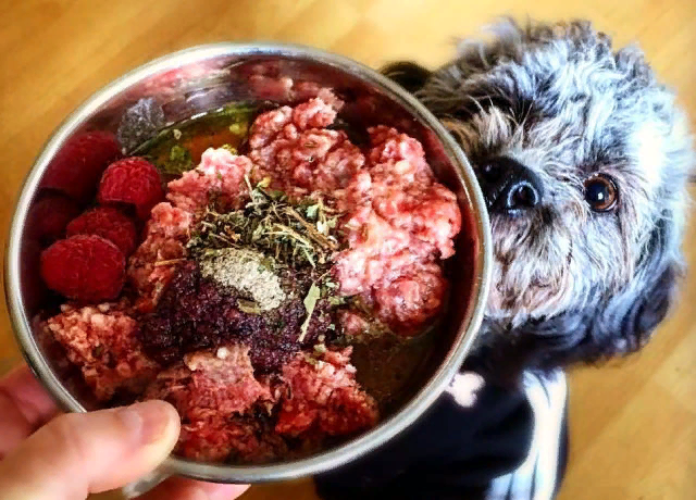 фото из открытого источника