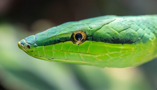 Источник изображения: https://www.pexels.com/ru-ru/