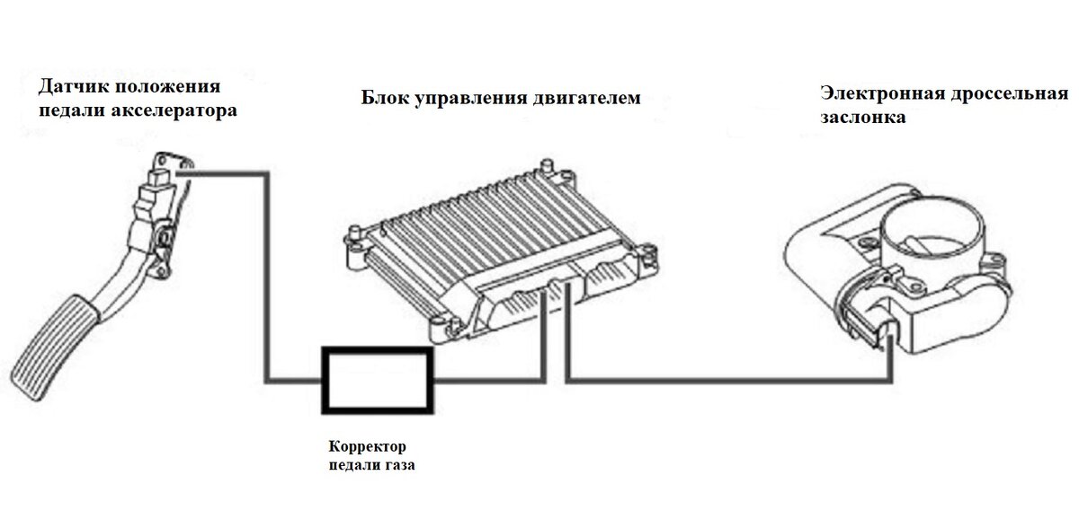 Машина не реагирует на педаль газа (было: Помогите Воронежскому аутлендороводу) - ropejumpingvrn.ru