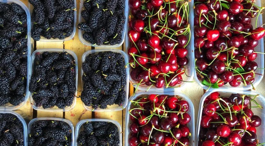 Источник: google картинки