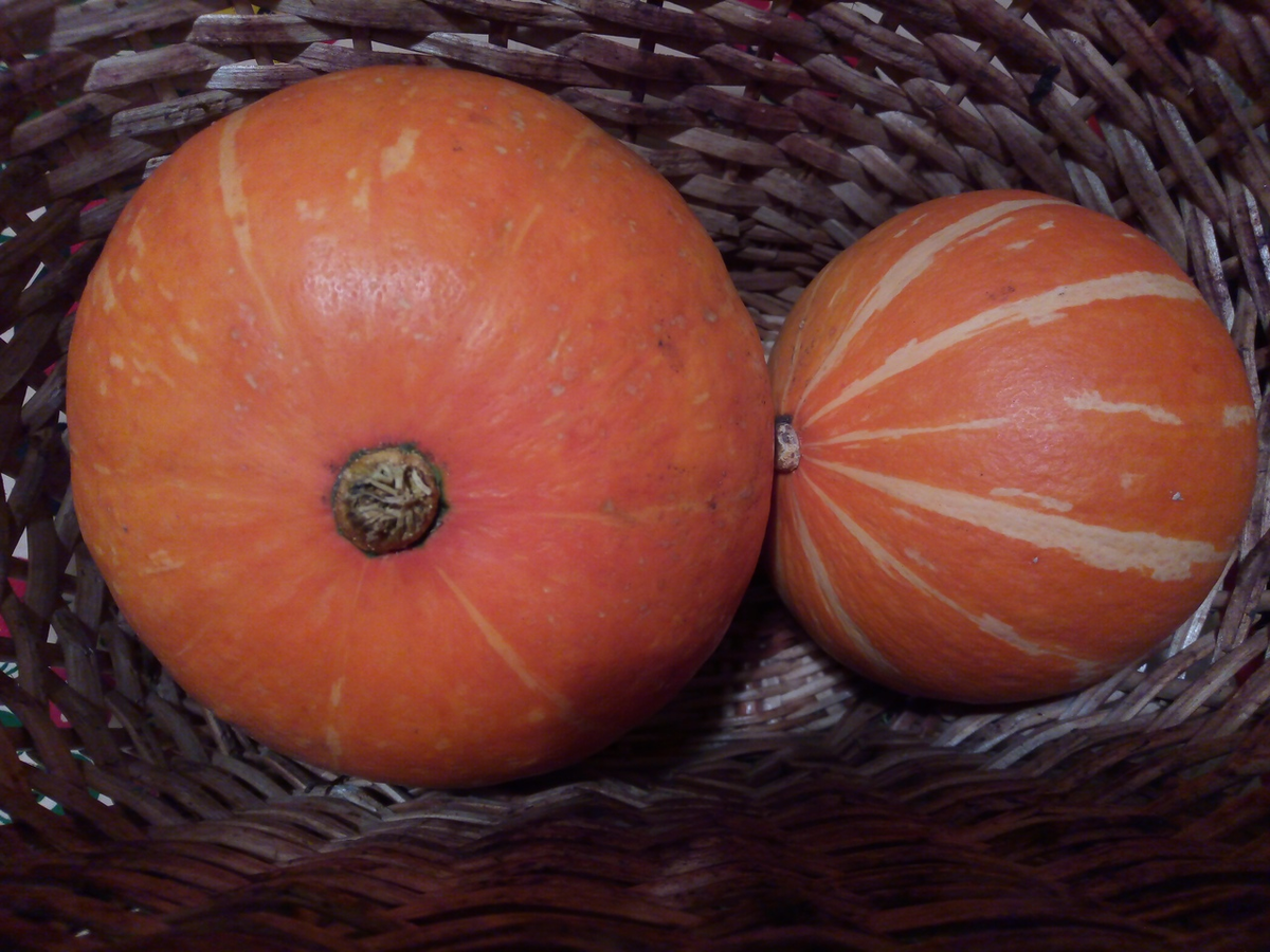 Живые витамины