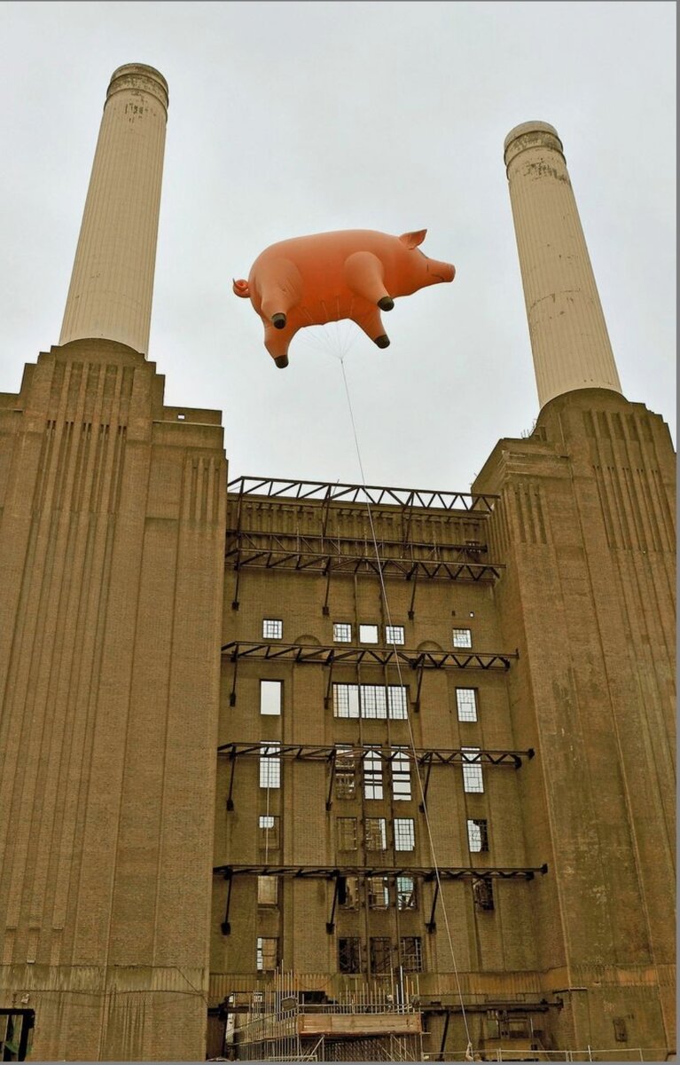 Фото из открытых источников Яндекс.  