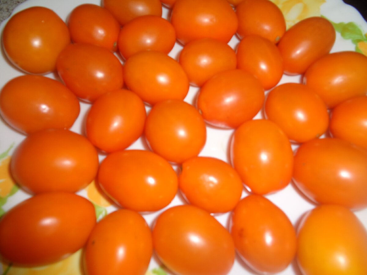 ОРАНЖЕВЫЕ СЛИВКИ.