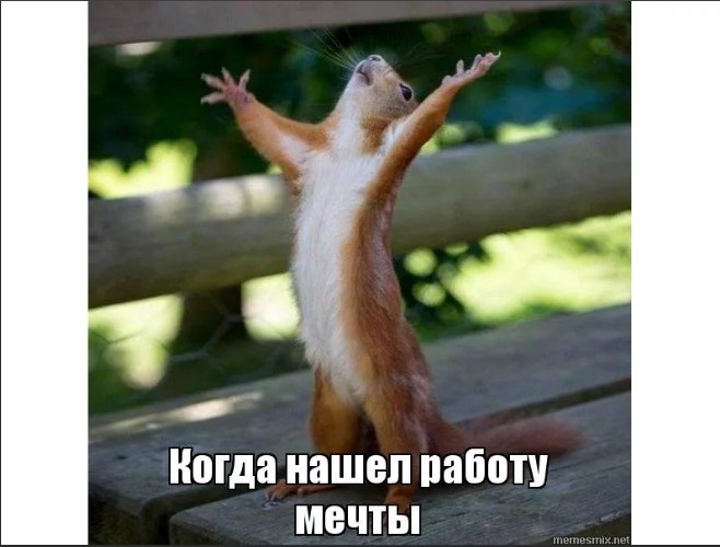 Изображение - Когда нашел работу мечты ... - взято с просторов Интернета
