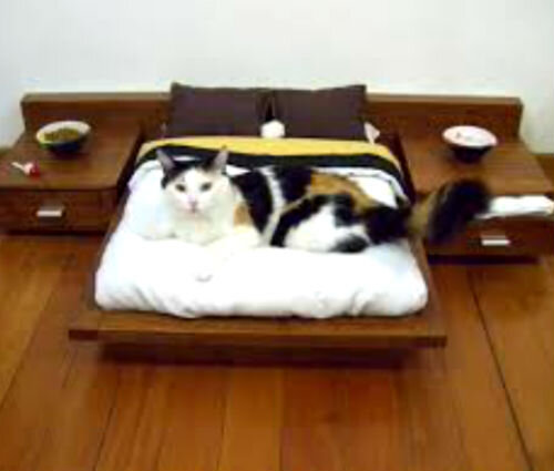 🐈🌳 Эко- мебель для кошек из дерева || 🎁 Интернет магазин