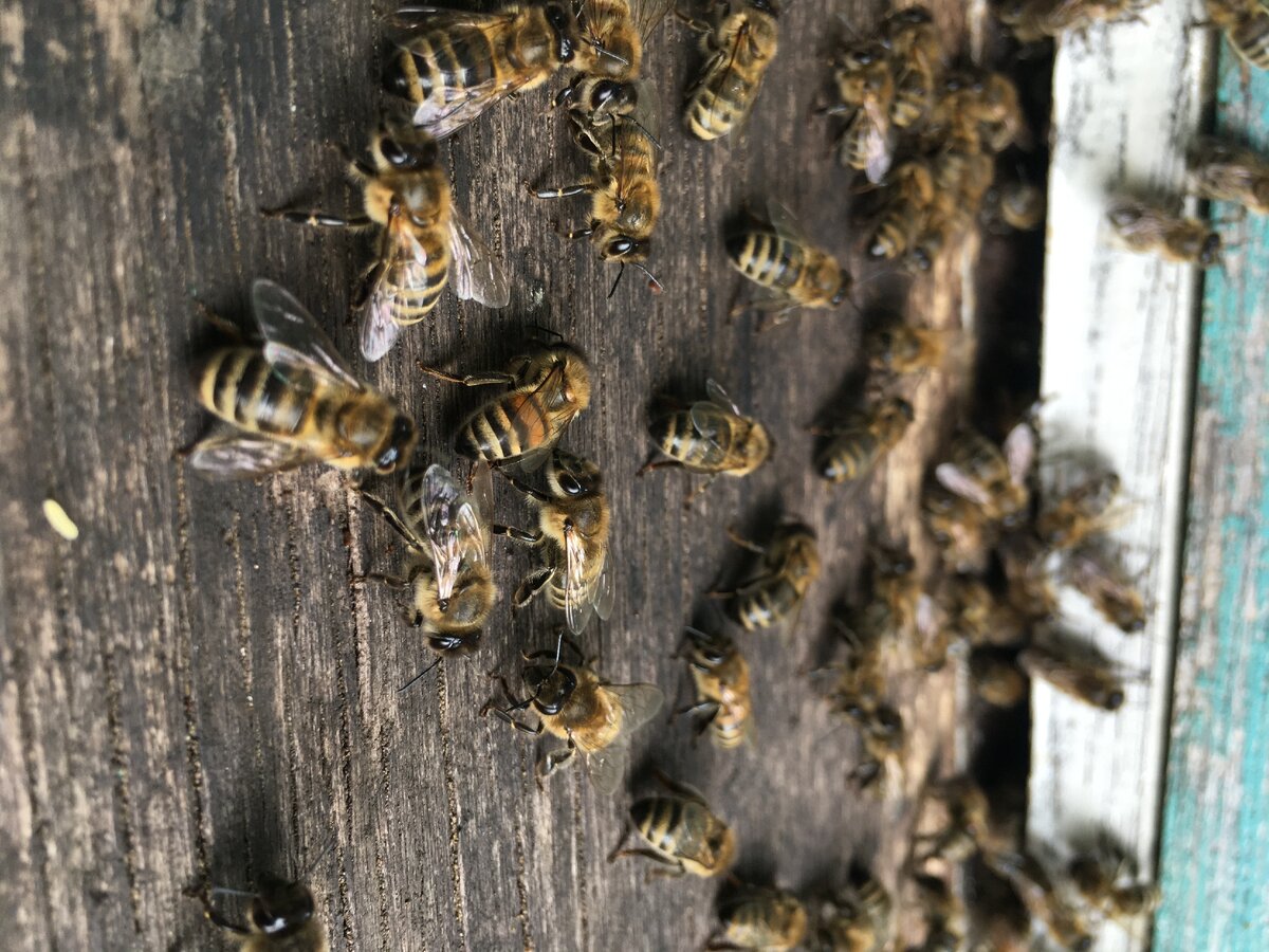 фото из личного архива автора