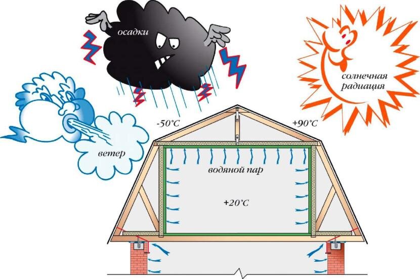 Воздействие окружающей среды на древесину