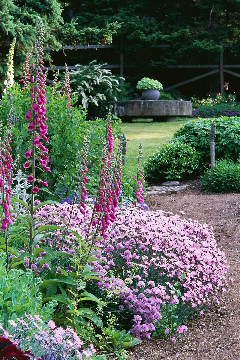 https://i.natural-gardener.com/images/708877/image-2.jpg