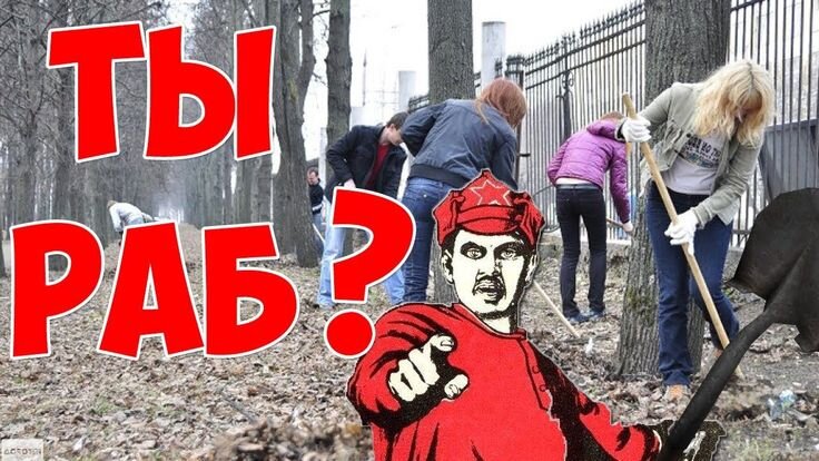 Наверно 🤷 фото из интернета