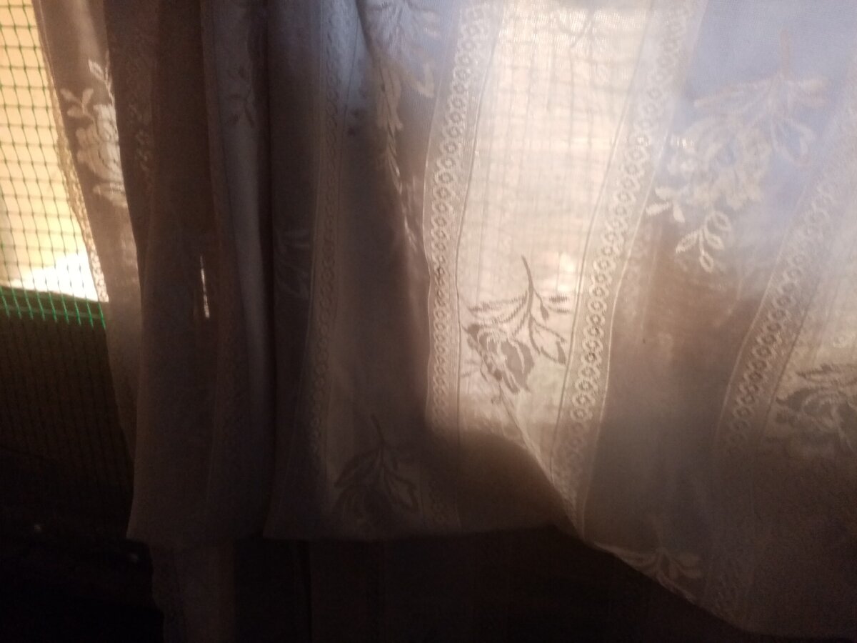 Клетка с другой стороны.Фото автора.