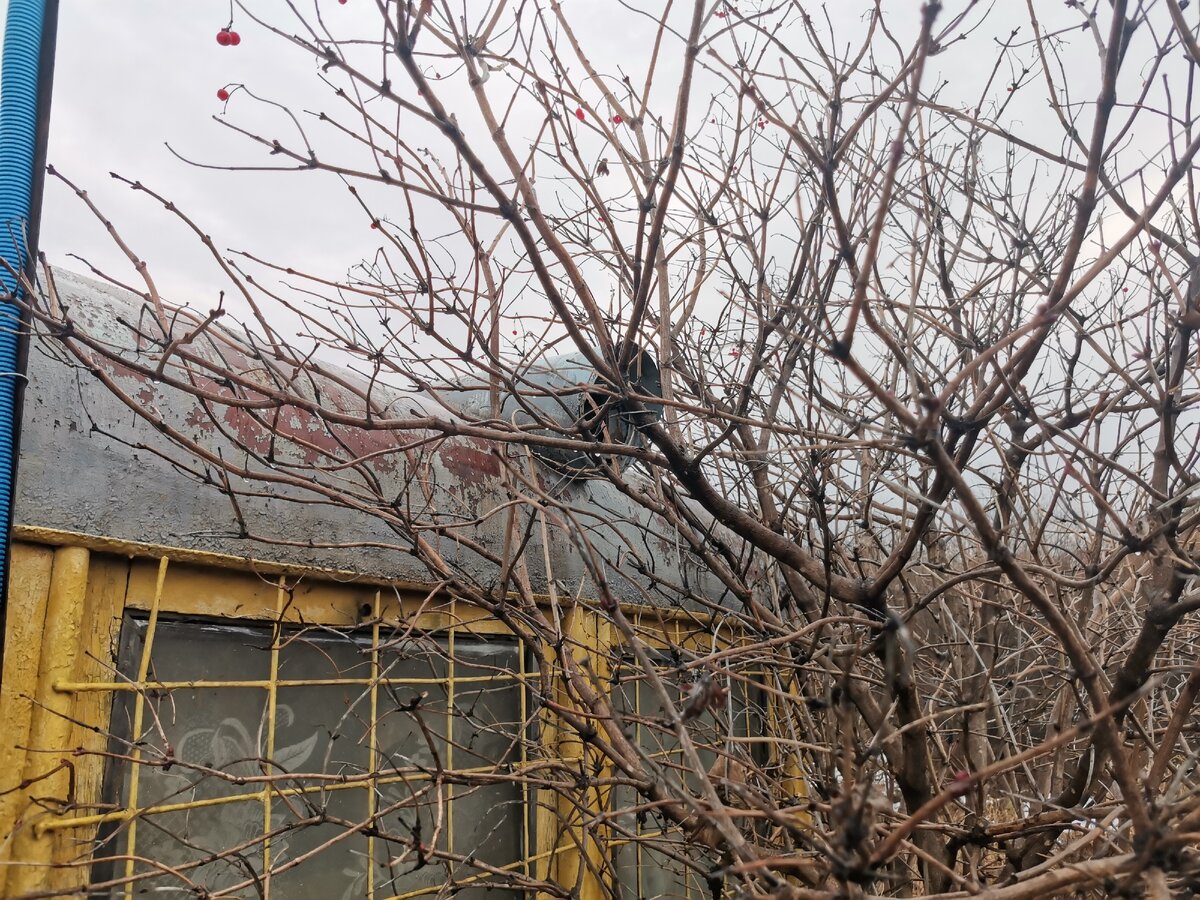 Фонарь-прожектор.